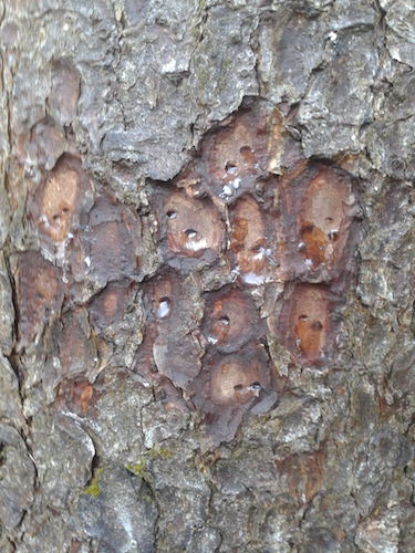 2017-12-24 14.07.13.jpg