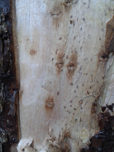 2017-12-24 14.15.40.jpg