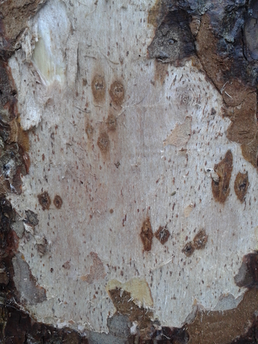 2017-12-24 14.29.09.jpg