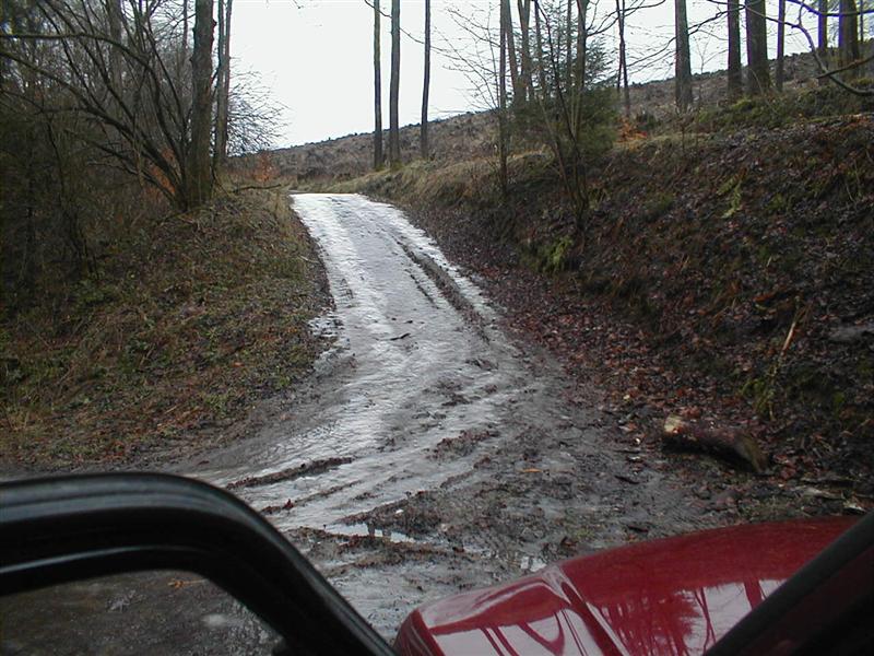 Bild 001 (Medium).jpg