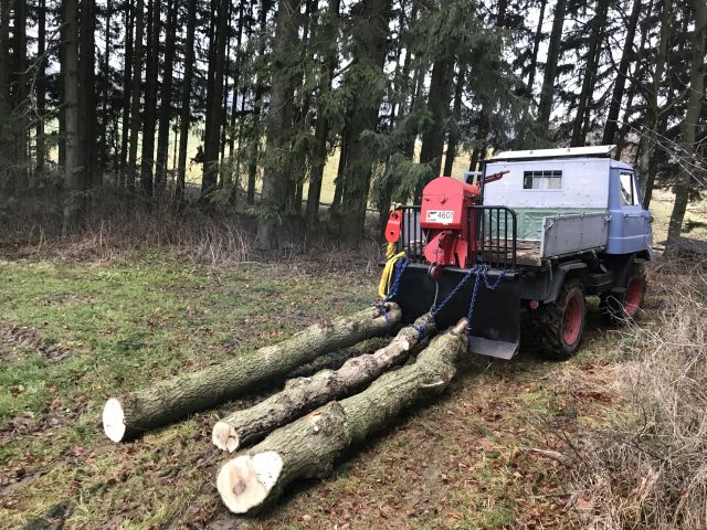Unimog mit Seilwinde und Stämmchen.jpg