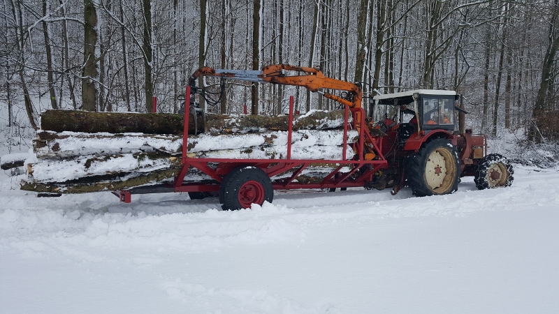 20170114_131020 (800x450).jpg