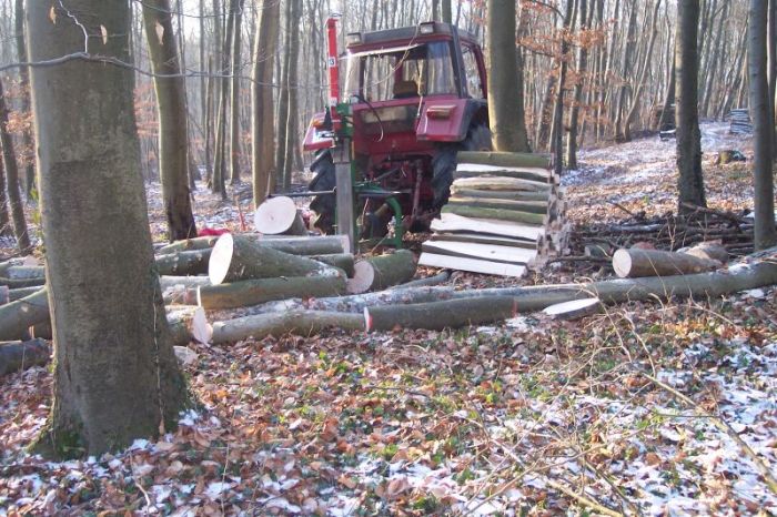 Brennholz 2008 008.jpg