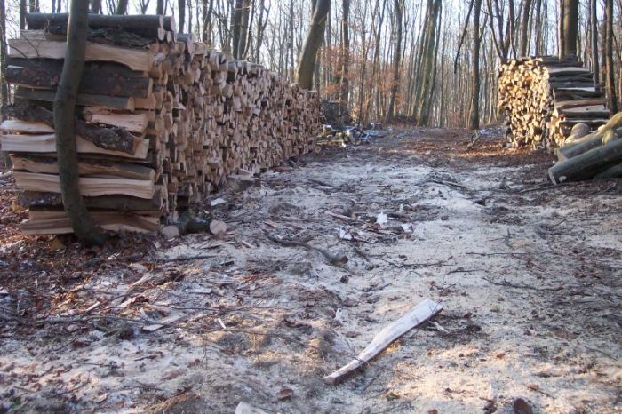 Brennholz 2008 009.jpg