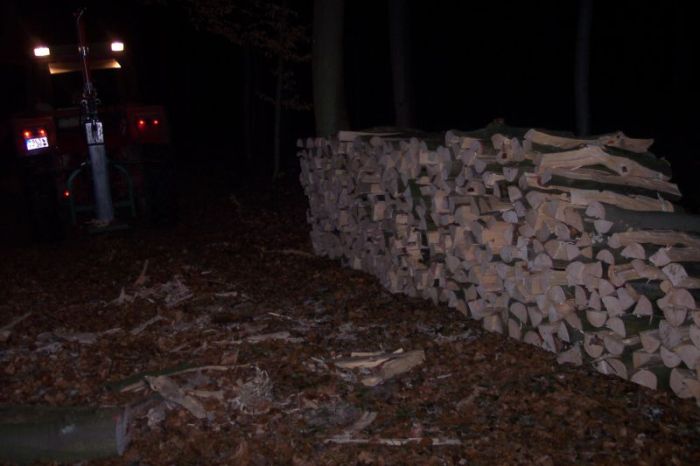 Brennholz 2008 010.jpg