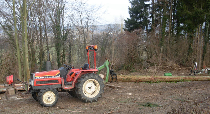 04 der Rückeschlepper-2.jpg