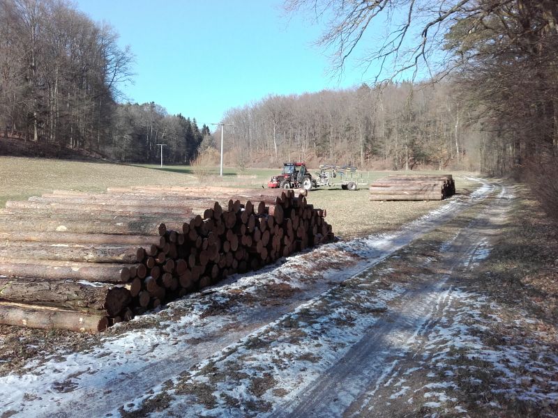 fertig mit den 3,70 er und 4,10 er Polter.jpg