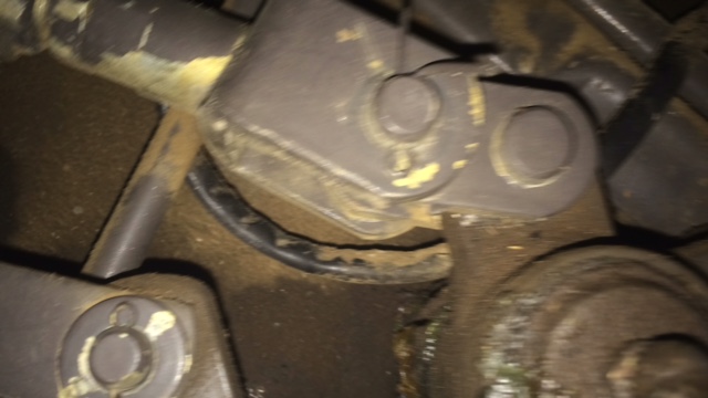 0A5605CC-EF03-41D6-BC95-BF70FAF61729.JPG