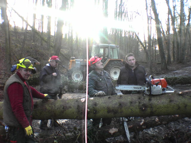 erstertag nach dem sturm.JPG