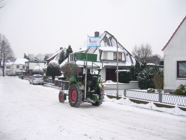 Altmeister bei - 2°C.JPG