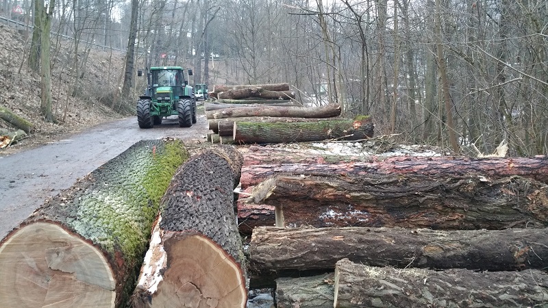 6910 und 6320 Laubholzpolder.jpg