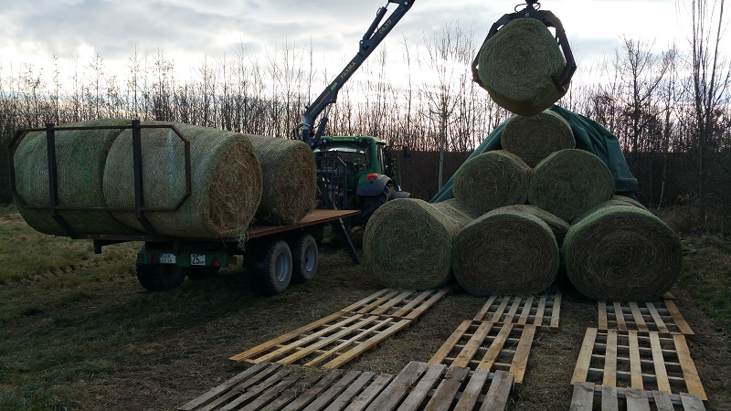 Heuliefern 1 Febr 2018.jpg