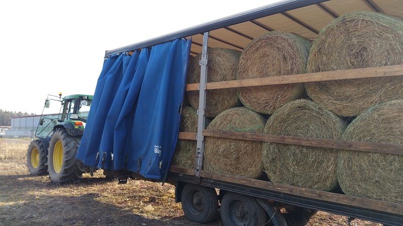 Heuliefern 2 Febr 2018.jpg