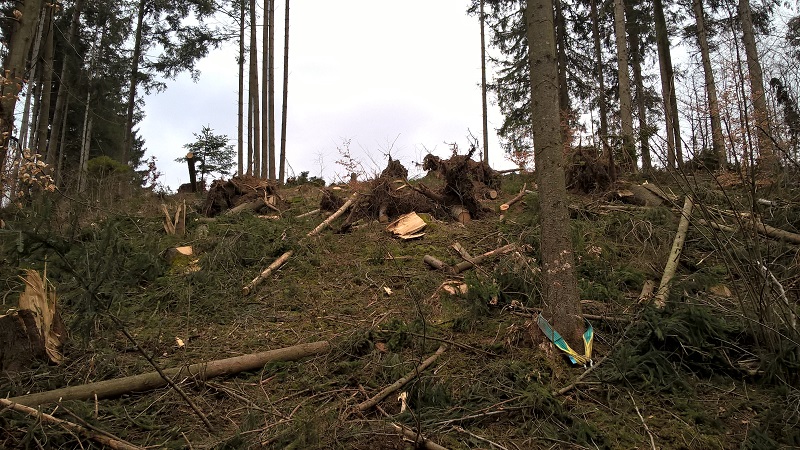 Den Hang haben wir schon abgeräumt.jpg