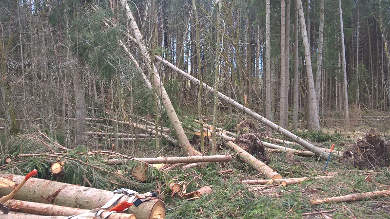 einiges ist schon raus.jpg