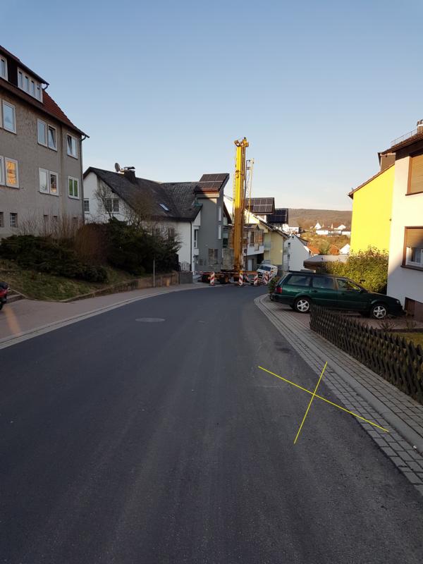 K800_Knöllchen 2.JPG