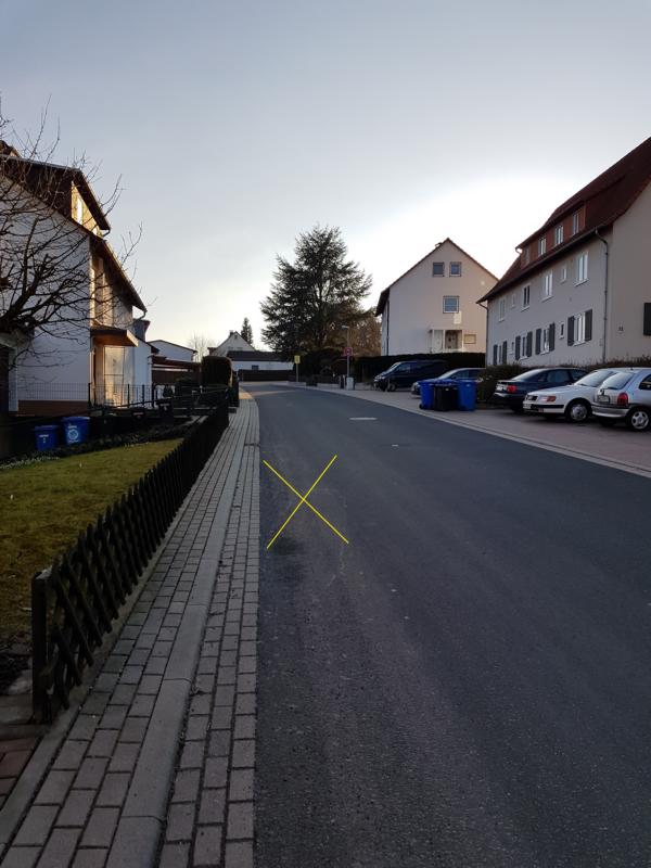 K800_Knöllchen 1.JPG