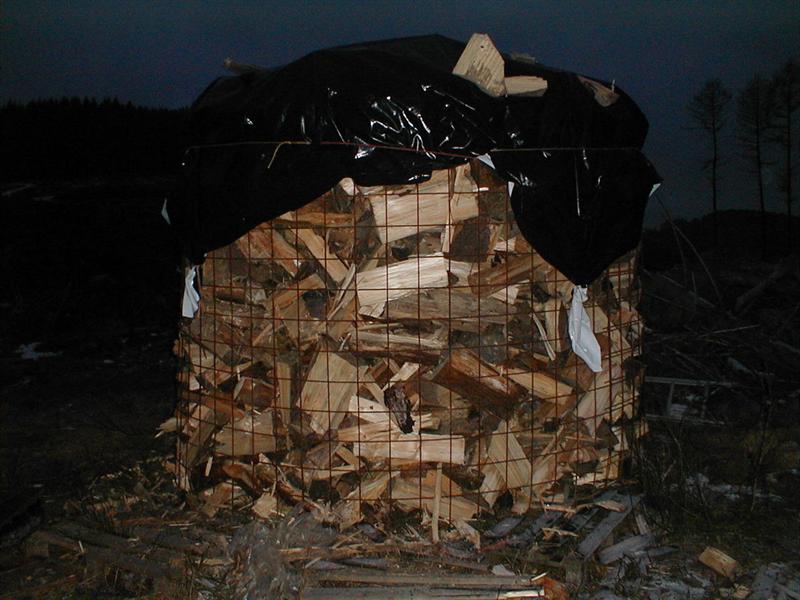 P1270006 (Medium).JPG