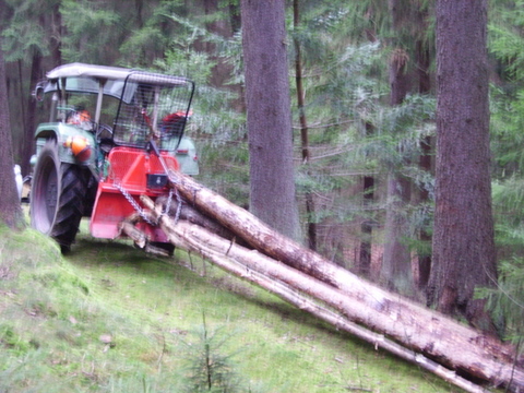 Holz2.jpg
