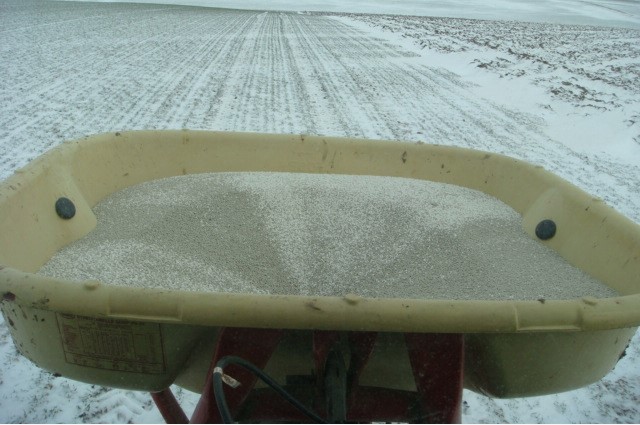 1. Schnee-Gabe WinterWeizen.JPG