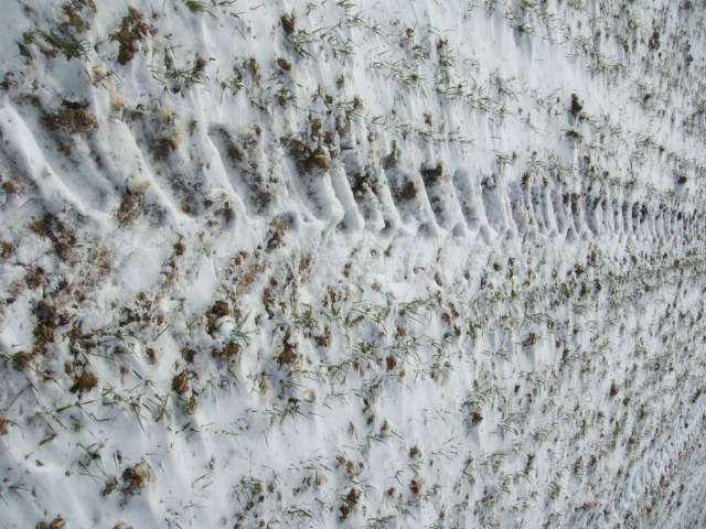 1. Schneegabe Fahrspuren Ende.JPG