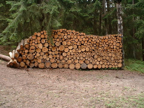 Holz6.jpg
