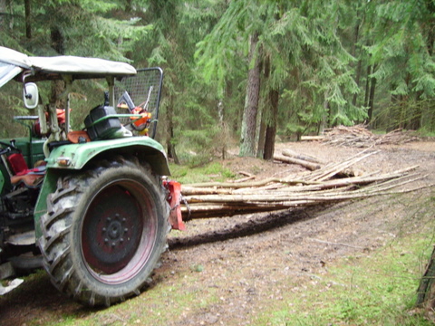 Holz1.jpg