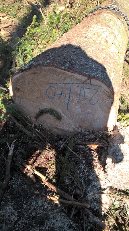 einer der Dickeren.jpg