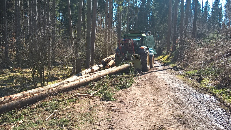 Da waren wir wieder unten.jpg