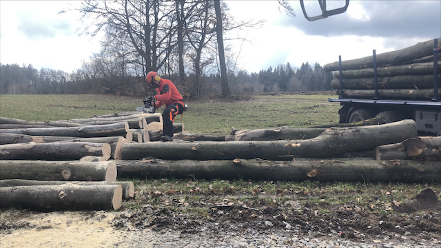 Bildschirmfoto 2018-04-01 um 18.00.04.png