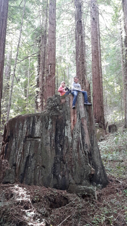 2018-04-06 10.22.00.jpg