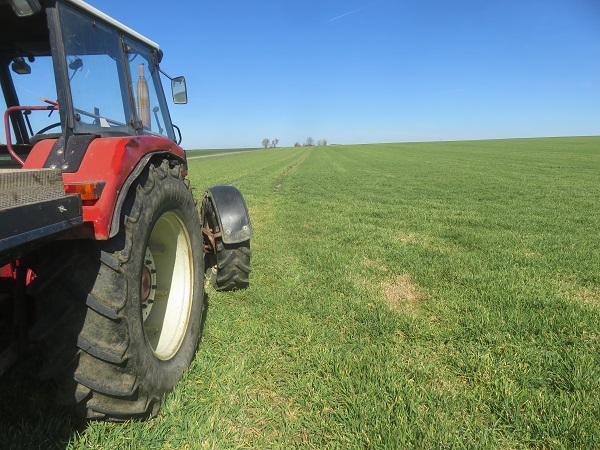 W`Gerste am 7.4.2018 bei 2.Gabe.jpg