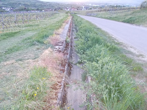 DSCN0585.JPG