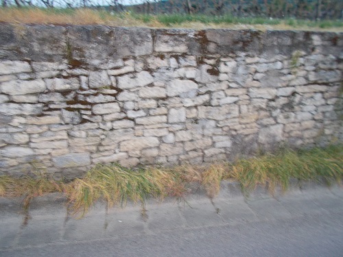 DSCN0587.JPG