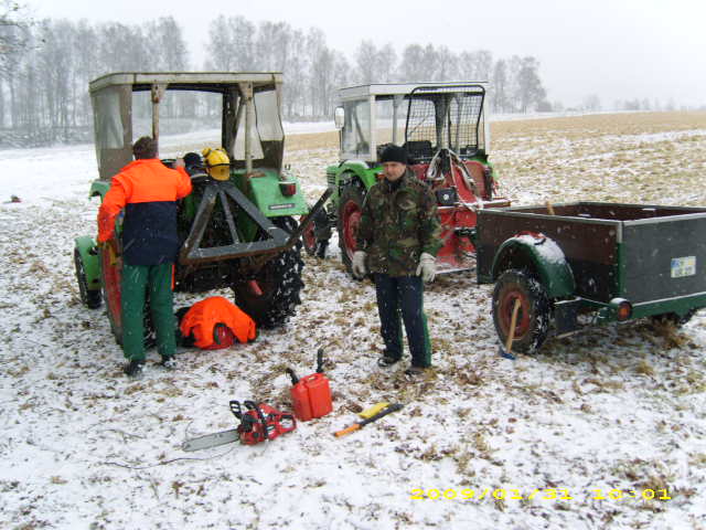 wald u. Forst 120.jpg
