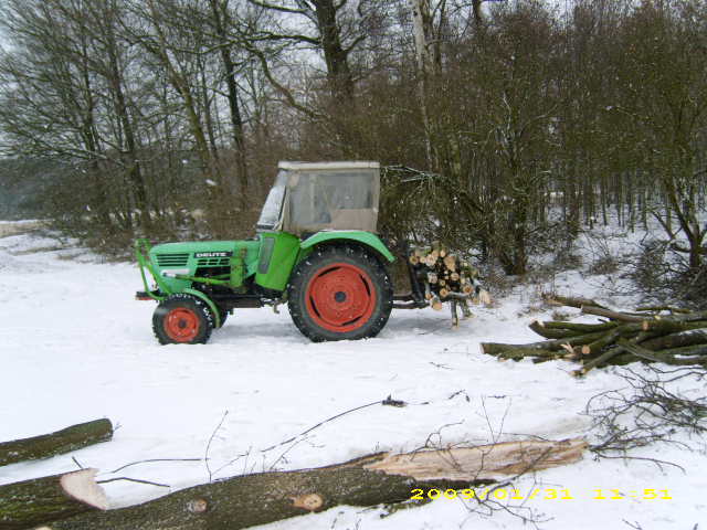 wald u. Forst 137.jpg