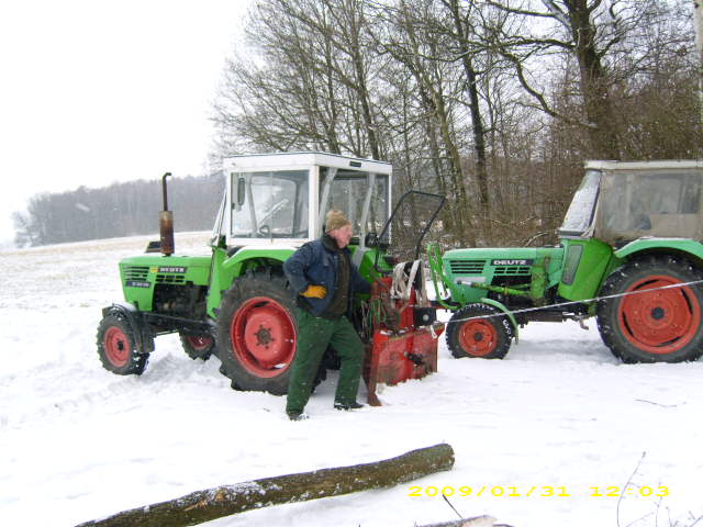 wald u. Forst 143.jpg