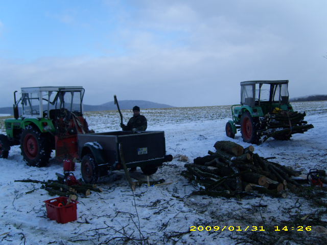 wald u. Forst 152.jpg