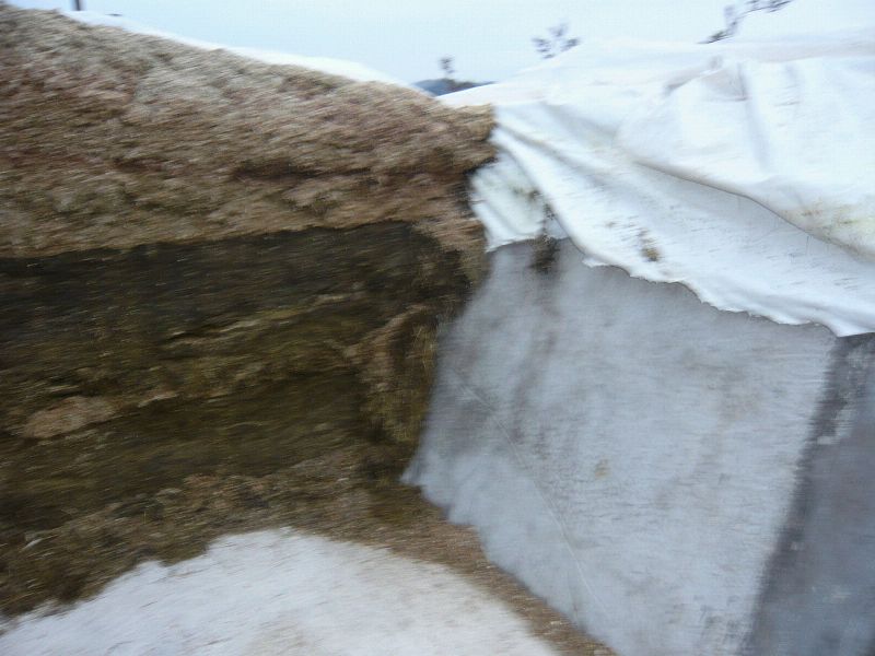 k-P1000131.JPG