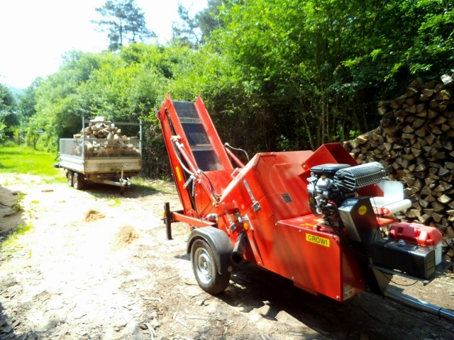 DSCF4698 (800x600) (640x480).jpg