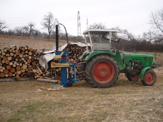 Holz2009 3.jpg