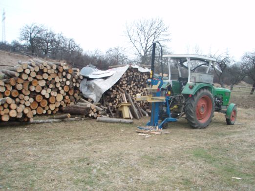 Holz2009 4.jpg