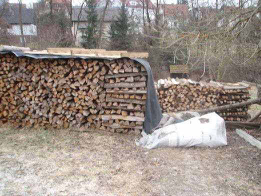 Holz2009 5.jpg