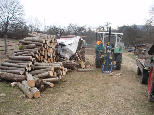 Holz2009 7.jpg