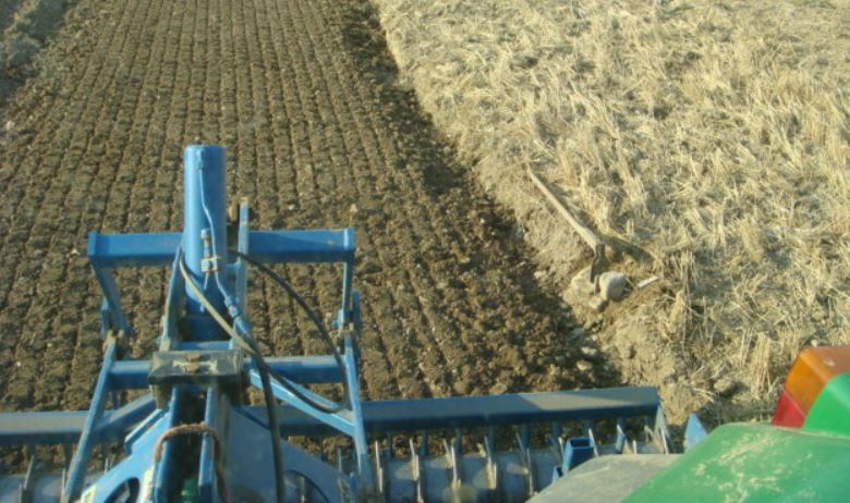 Kreiselegge nach Pflug End Juli.JPG