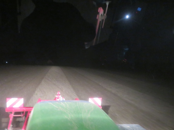 Rapssaat bei Nacht.jpg