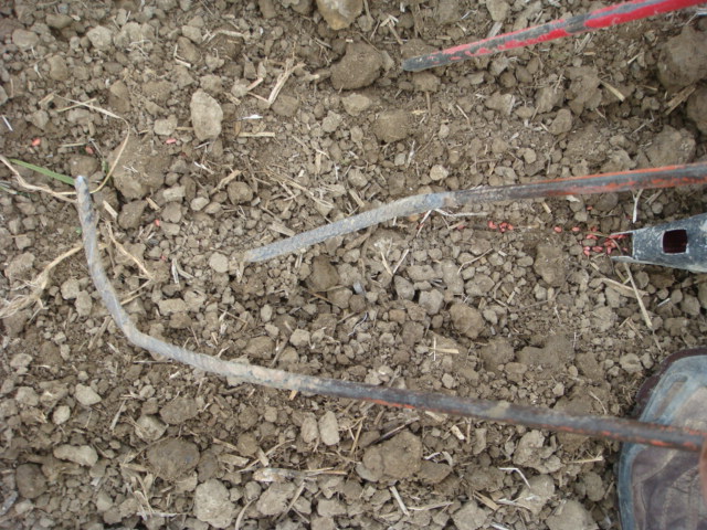 Striegel für äußere Reihe.JPG