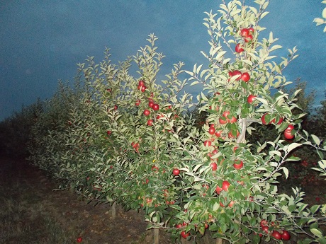 DSCN0690.JPG