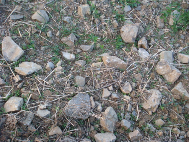 Bioware Klasse 1.JPG