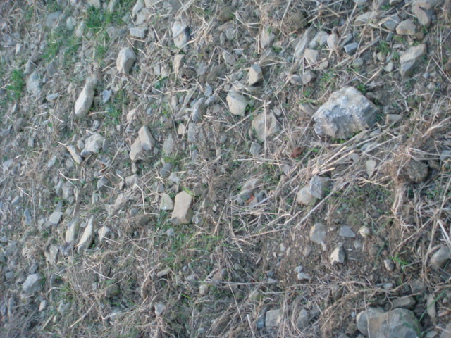 Bioware Klasse 2.JPG